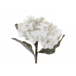 Fleur Hortensia Blanche