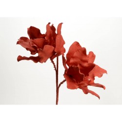 Tige feuilles corail
