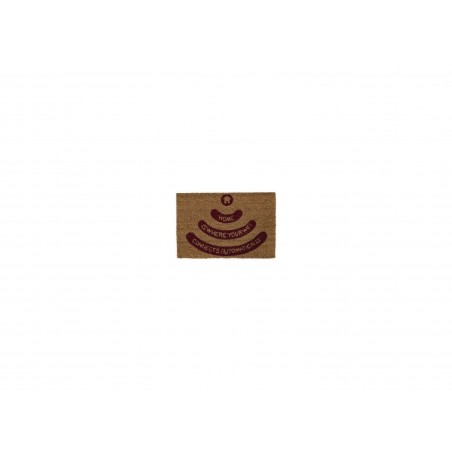 Paillasson logo Wifi