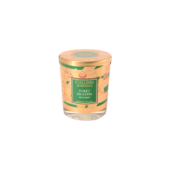 Bougie parfumée forêt de sapin