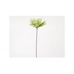 Branche pavot vert 78 cm