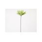 Branche pavot vert 78 cm