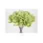 Branche pavot vert 78 cm