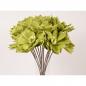 Branche pavot vert 80 cm