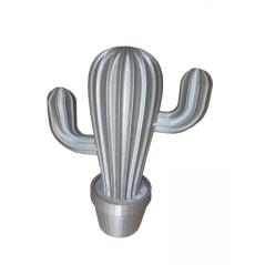 Cactus 3D gris