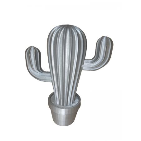 Cactus 3D gris