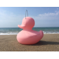 The Duck Duck Lamp S - Rose The Duck Duck Lamp S - Rose