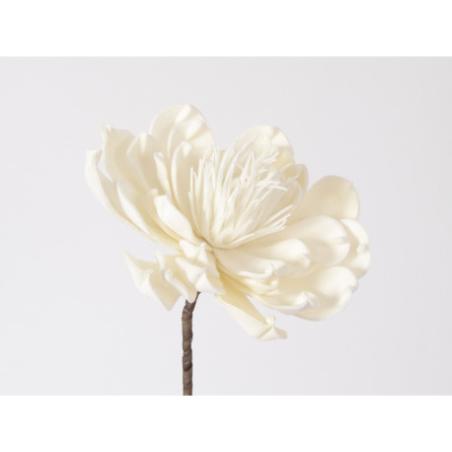 Branche fleur blanche