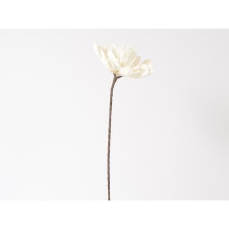 Branche fleur blanche