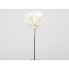 Flora fleur blanche
