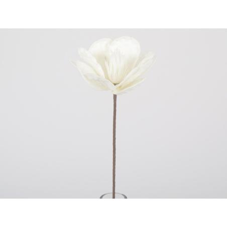 Flora fleur blanche