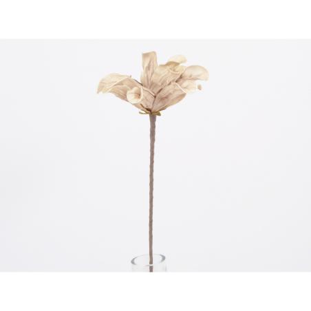 Flora fleur beige/taupe