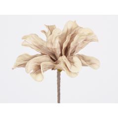 Flora fleur beige/marron
