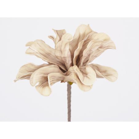 Flora fleur beige/marron