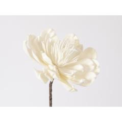 Branche fleur blanche - Expo n°2