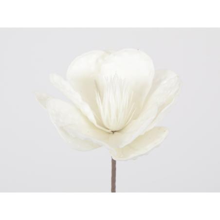 Flora fleur blanche