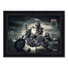 Singe motard – Sylvain Binet