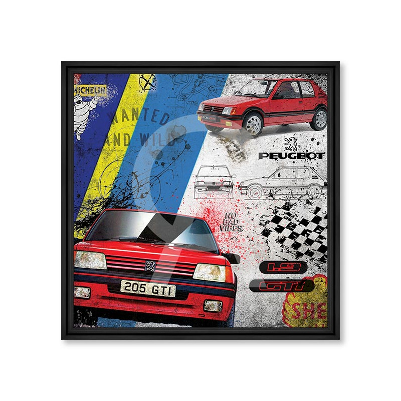 205 GTI 1.9 – Rubix 205 GTI 1.9 – Rubix