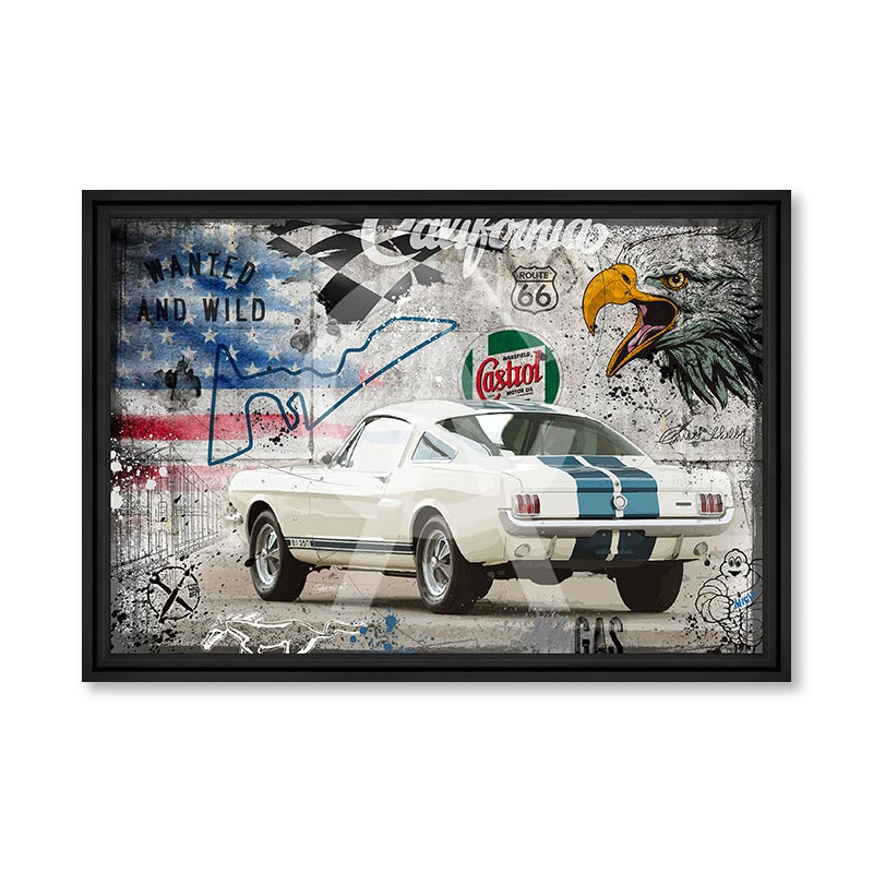 Shelby 65 – Rubix Shelby 65 – Rubix