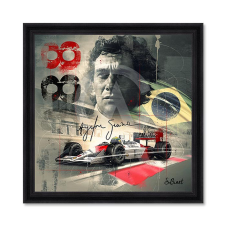 Ayrton Senna – Sylvain Binet