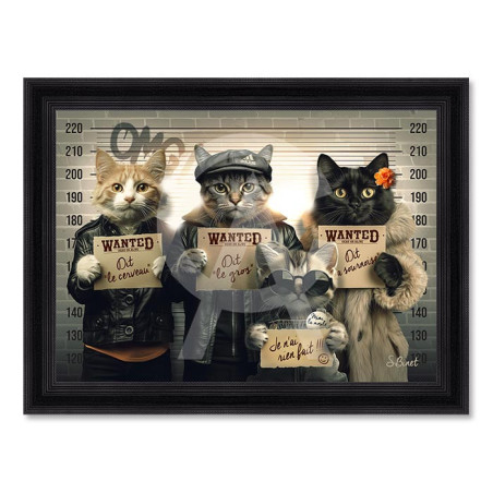 Chats voleurs – Sylvain Binet