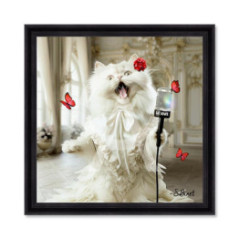 Cat Lover – Sylvain Binet