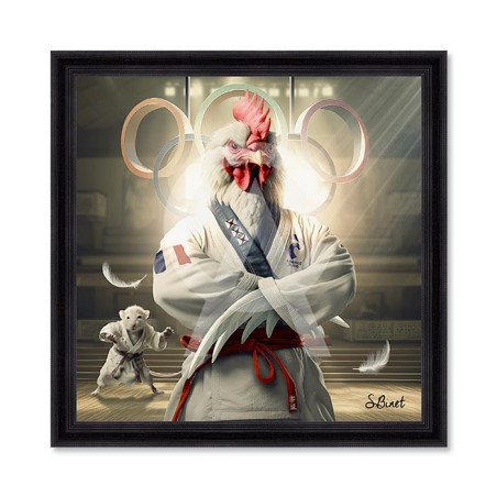 Coq Judo – Sylvain Binet