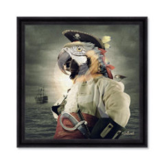 Pirate Perroquet – Sylvain Binet