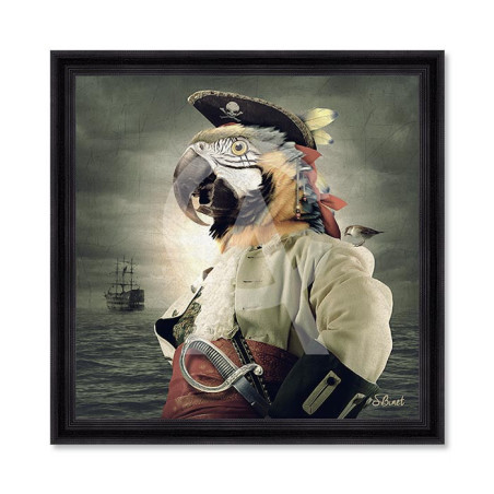 Pirate Perroquet – Sylvain Binet