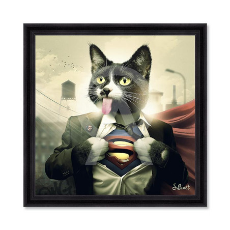Supercat – Sylvain Binet