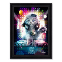 DJ Cat – Sylvain Binet