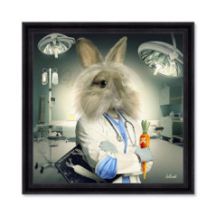 Lapin Infirmier – Sylvain Binet