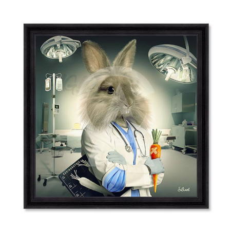 Lapin Infirmier – Sylvain Binet