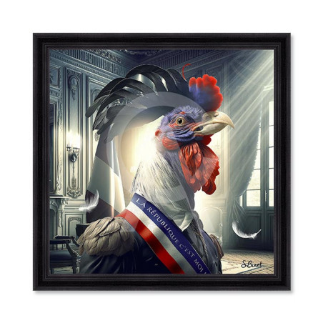 Coq président – Sylvain Binet