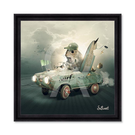Surf – Sylvain Binet