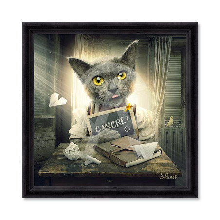 Chat cancre – Sylvain Binet