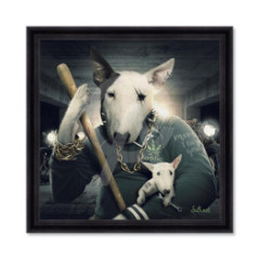 Bull Terrier – Sylvain Binet