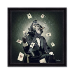 Singe Poker – Sylvain Binet