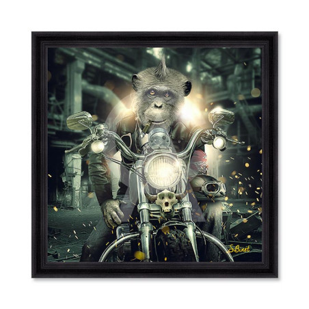 Gorille moto – Sylvain Binet