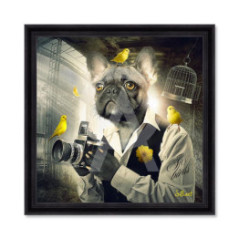 Chien photo – Sylvain Binet