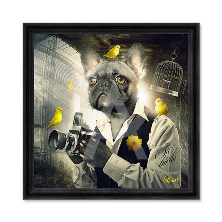 Chien photo – Sylvain Binet