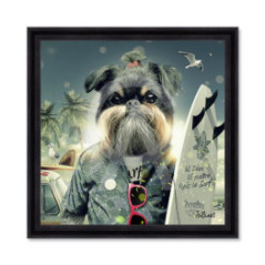 Chien Surf – Sylvain Binet