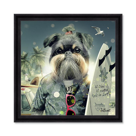 Chien Surf – Sylvain Binet
