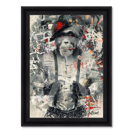 Urban Monkey – Sylvain Binet