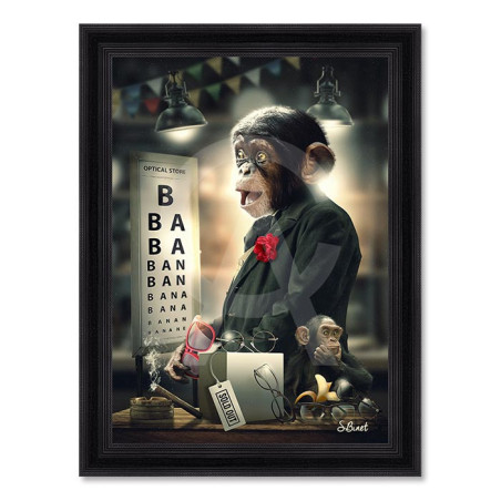Opticien – Sylvain Binet