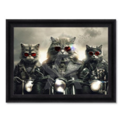Chats motos – Sylvain Binet