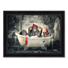 Singes Clowns – Sylvain Binet
