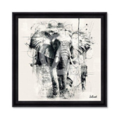 Éléphant NB – Sylvain Binet