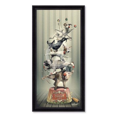 Cirque Canin – Sylvain Binet