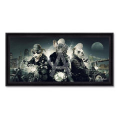Chiens Motards – Sylvain Binet